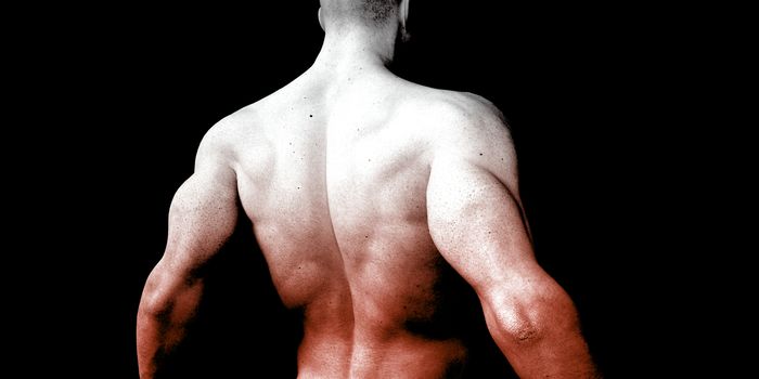 Vitality and Health with Fit Male Torso Concept