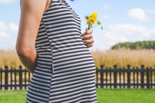 Pregnant woman hands give yellow wild flowers with sunny meadow and blue sky.Romantic and love feelings