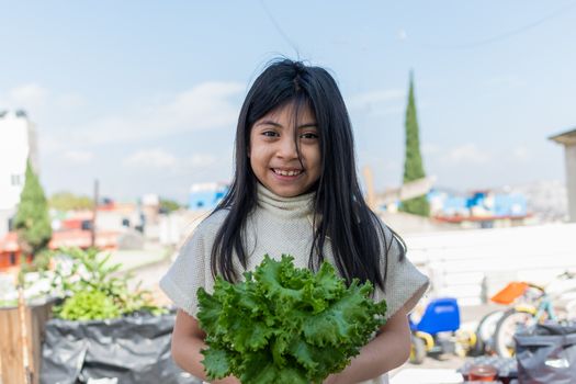 girl with lettuce on her hands in an urban garden