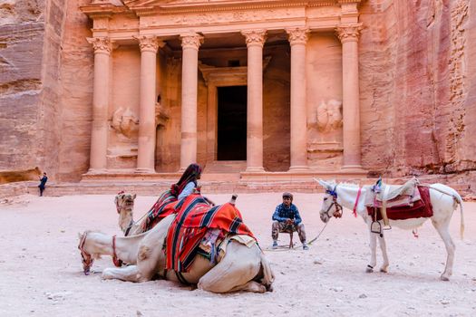 Petra, Jordan - 5 Jul 2016: camel and donkey guides are waiting for tourists to hire a ride in front of the Treasury facade, the iconic stone carved temple and church in Petra archeological site, Jordan, Middle East