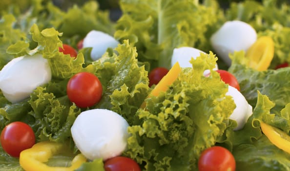 Close up tomato and Mozzarella Salad. Vegetarian and organic food concept. Mediterranean salad. Macro shot