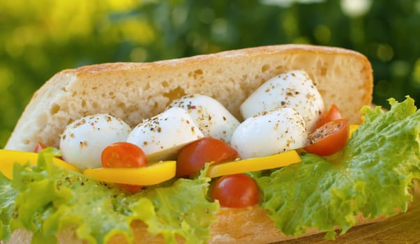 Close up sandwich with mozzarella, tomato and lettuce on green natural background. Lunch in the garden at summer day