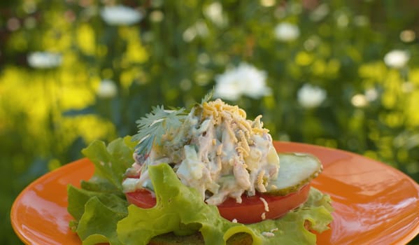 Close up sandwich with salad, lettuce and tomato on red plate slowly rotating on blurry green background. Snack in the garden.