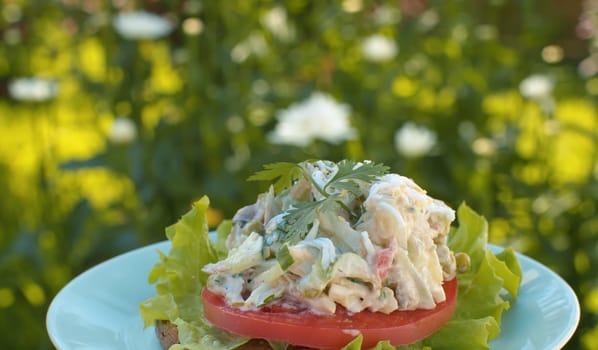 Close up sandwich with salad, lettuce and tomato on blue plate slowly rotating on blurry green background. Snack in the garden.