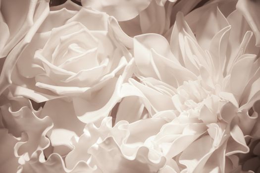 White rose close-up background,Retro style.