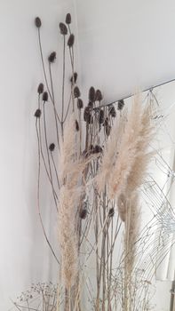 interior design, dried plants, reed, cane in front of broken mirror and white walls