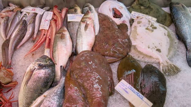 Fish Market in Menorca Mahon. Fresh fish and seafood chilled on ice.