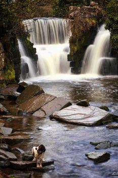 Penllergare Valley Woods Waterfall near Swansea in Wales UK a popular tourist travel destination stock photo