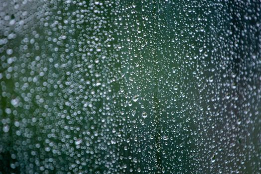 Abstract background of wet window glass with rain water drops. Summer cold green blurred backdrop and selective focus.