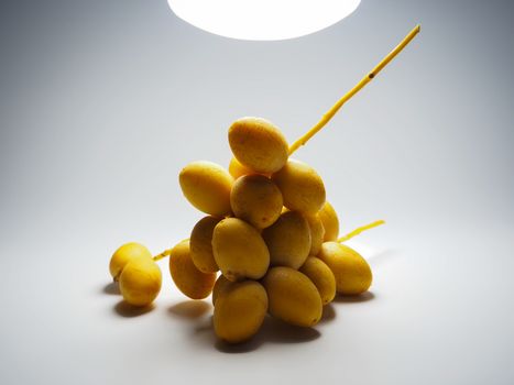 Yellow date palm Isolated on white light background. Light and shadow concept.