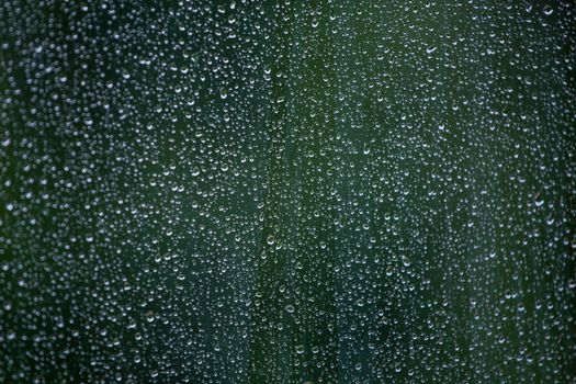 Abstract background of wet window glass with rain water drops. Summer cold green blurred backdrop and selective focus.