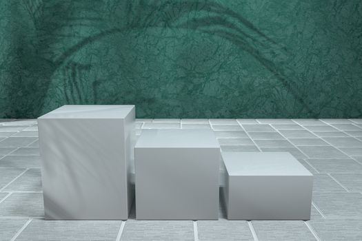 Cube platform with plant shadows on the green wall, 3d rendering. Computer digital drawing.