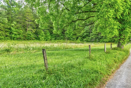 Horizontal shot showing a lovely Spring morning in Cades Cove.