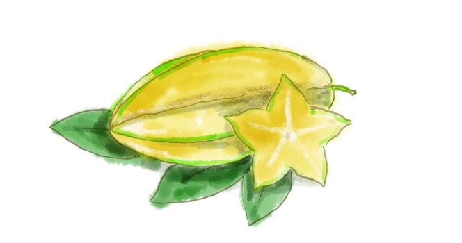 Watercolor drawing of a Carambola, or star fruit, the fruit of Averrhoa carambola on white.