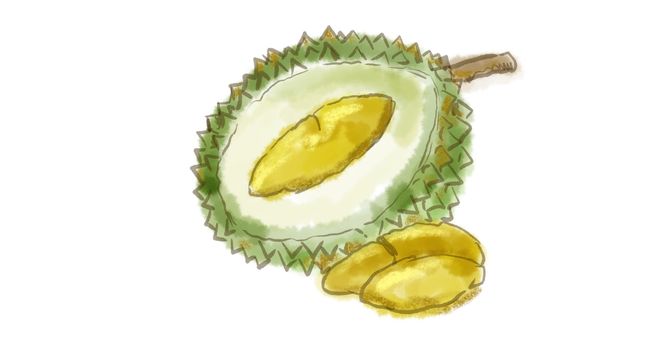 Watercolor drawing of a Durian fruit, named in some regions as the "king of fruits" on white.