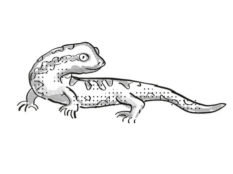 Retro cartoon style drawing of a Tautuku gecko , a native New Zealand wildlife on isolated white background done in black and white