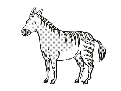 Retro cartoon style drawing of a Hagerman Horse, an extinct North American wildlife species on isolated background done in black and white full body.