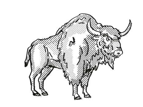 Retro cartoon style drawing of an Ancient Bison, an extinct North American wildlife species on isolated background done in black and white full body.