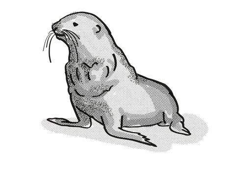 Retro cartoon style drawing of a Fur Seal , a native New Zealand wildlife on isolated white background done in black and white