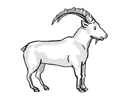 Retro cartoon line drawing style drawing of a Nubian Ibex, an endangered wildlife species on isolated background done in black and white full body.