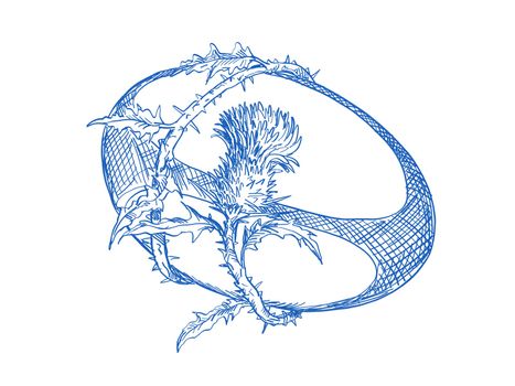 Hand sketched drawing illustration of rugby ball with Scotch thistle flower and vine entwined on isolated background,