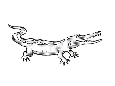 Retro cartoon line drawing style drawing of a West African Slender Snouted Crocodile, an endangered wildlife species on isolated background done in black and white full body.