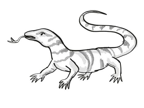 Retro cartoon line drawing style drawing of a Gray's Monitor, an endangered wildlife species on isolated background done in black and white full body.