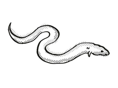 Retro cartoon line drawing style drawing of a European Eel, an endangered wildlife species on isolated background done in black and white full body.