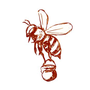 Drawing sketch style illustration of honey bee carrying a pail of honey flying done in black and white on isolated background.