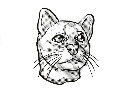 Retro cartoon style drawing of head of an Oncilla or northern tiger cat, an endangered wildlife species on isolated white background done in black and white.