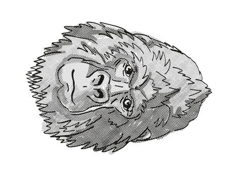Retro cartoon style drawing head of a Silver Back or Mountain Gorilla, a monkey species viewed from front on isolated white background done in black and white
