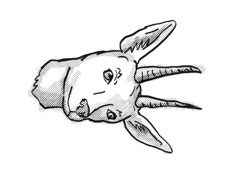 Retro cartoon style drawing of head of a Mountain Reedbuck, an endangered wildlife species on isolated white background done in black and white.