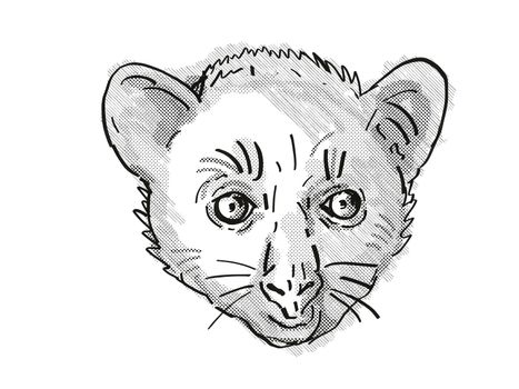 Retro cartoon style drawing of head of an Aye-Aye or Daubentonia madagascariensis , an endangered wildlife species on isolated white background done in black and white.