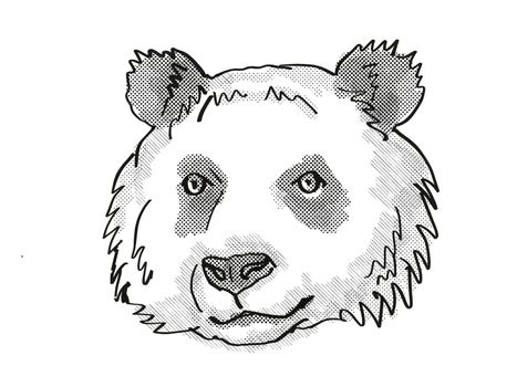 Retro cartoon style drawing of head of a giant panda , an endangered wildlife species on isolated white background done in black and white.