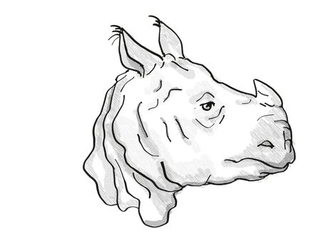 Retro cartoon style drawing of head of an Indian Rhinoceros, an endangered wildlife species on isolated white background done in black and white.