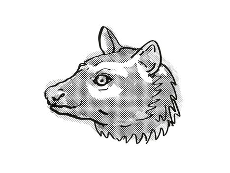 Retro cartoon style drawing of head of an Asian Palm civet or Common Palm civet , an endangered wildlife species on isolated white background done in black and white.