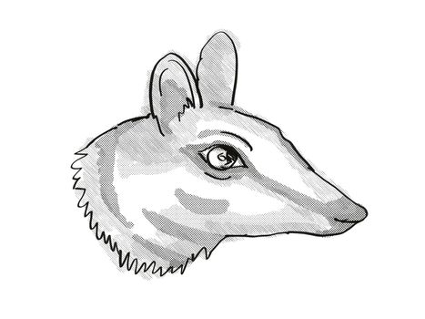 Retro cartoon style drawing of head of a Numbat, a small-sized marsupial found in Western Australia and an endangered wildlife species on isolated white background done in black and white.