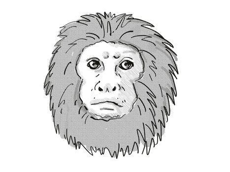 Retro cartoon style drawing of head of a Golden Lion Tamarin or Leontopithecus Rosalia , an endangered wildlife species on isolated white background done in black and white.