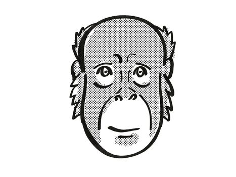 Retro cartoon mono line style drawing of head of a Bornean Orang-utan also known as the Red Ape, an endangered wildlife species on isolated white background done in black and white.
