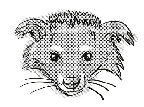 Retro cartoon style drawing of head of a Binturong or Arctictis binturong, an endangered wildlife species on isolated white background done in black and white.