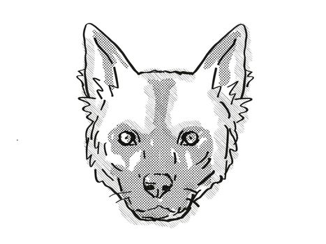 Retro cartoon style drawing of head of an African Wild dog or Lycaon pictus , an endangered wildlife species on isolated white background done in black and white.