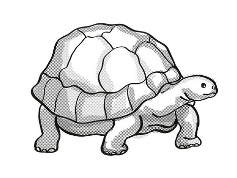 Retro cartoon mono line style drawing of a Galapagos Tortoise or Geochelone Nigra, an endangered wildlife species on isolated white background done in black and white full body.