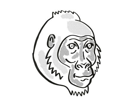 Retro cartoon mono line style drawing of head of a Cross River Gorilla or Gorilla gorilla diehli, an endangered wildlife species on isolated white background done in black and white.