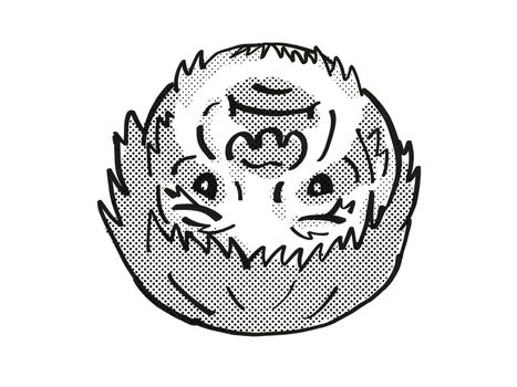 Retro cartoon mono line style drawing of head of a Sloth, arboreal mammal and an endangered wildlife species on isolated white background done in black and white.
