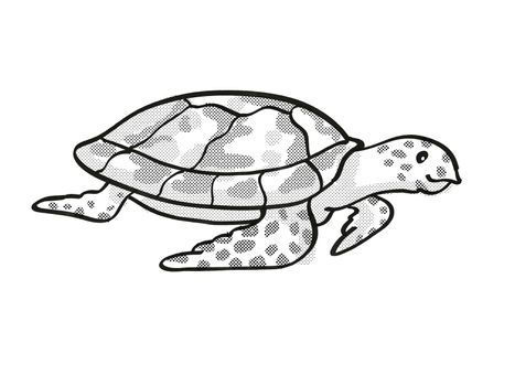 Retro cartoon mono line style drawing of a Hawksbill turtle , an endangered wildlife species on isolated white background done in black and white full body.