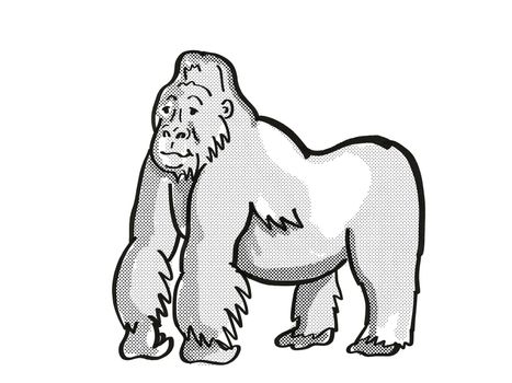 Retro cartoon mono line style drawing of a mountain silver back gorilla, an endangered wildlife species on isolated white background done in black and white full body.