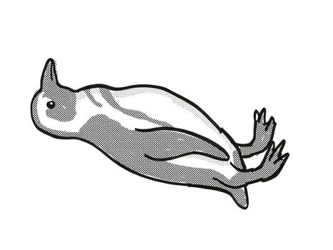 Retro cartoon mono line style drawing of an African Penguin or Spheniscus demersus, an endangered wildlife species on isolated white background done in black and white full body.
