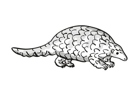 Retro cartoon mono line style drawing of a ground pangolin, Smutsia temminckii,Temminck's pangolin, Cape pangolin, an endangered wildlife species on isolated white background done in black and white full body.