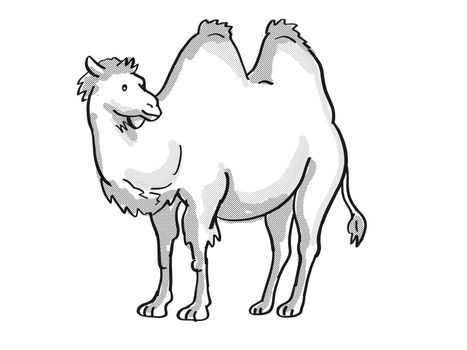 Retro cartoon mono line style drawing of a Bactrian Camel or Camelus Bactrianus, type of camel with two humps, an endangered wildlife species on isolated background done in black and white full body.