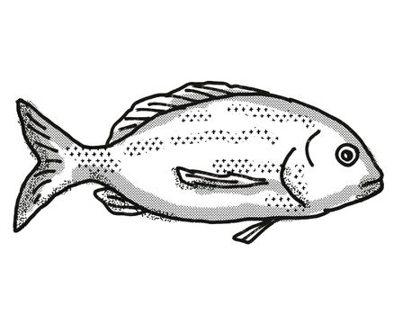 Retro cartoon style drawing of a Yellowfin Bream , a native Australian marine life species viewed from side on isolated white background done in black and white.